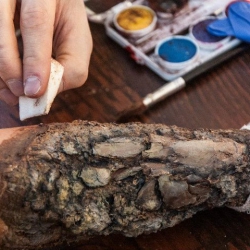 395937_291574210950172_162172149_n