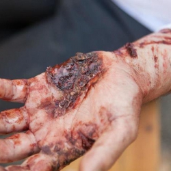 408327_294574080650185_600284012_n