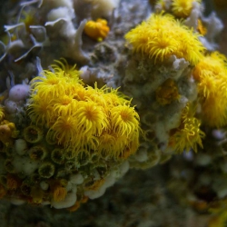 Haus des Meeres - Aqua Terra Zoo