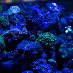 Haus des Meeres - Aqua Terra Zoo