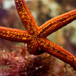 Haus des Meeres - Aqua Terra Zoo