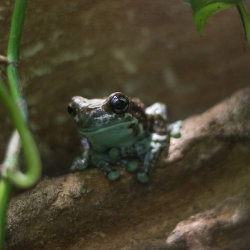 Haus des Meeres - Aqua Terra Zoo